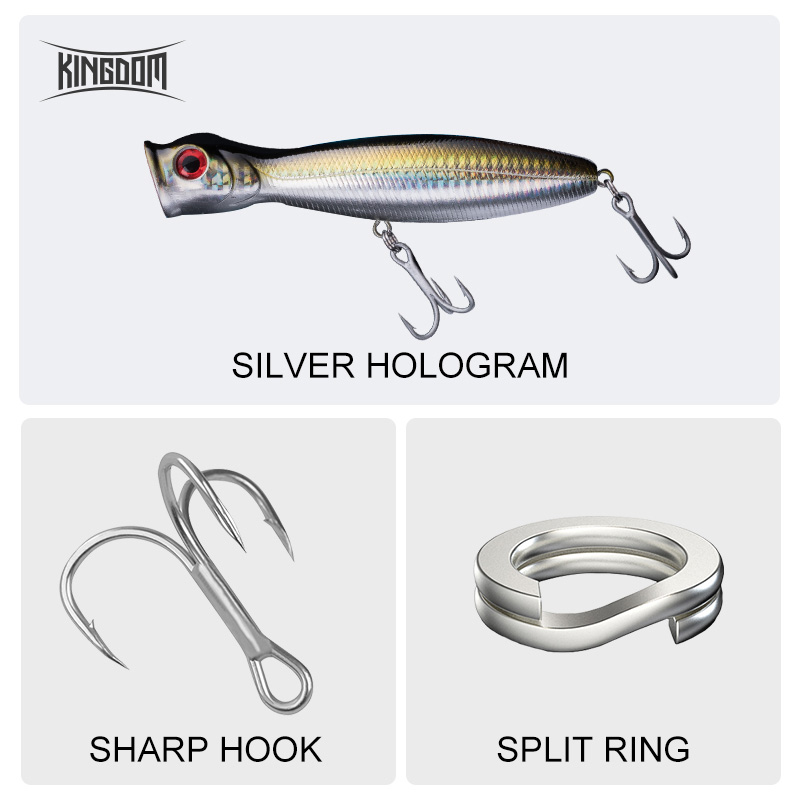 Kingdom Floating Popper Fishin – обзор и цена Fishing Equipment Daiwa