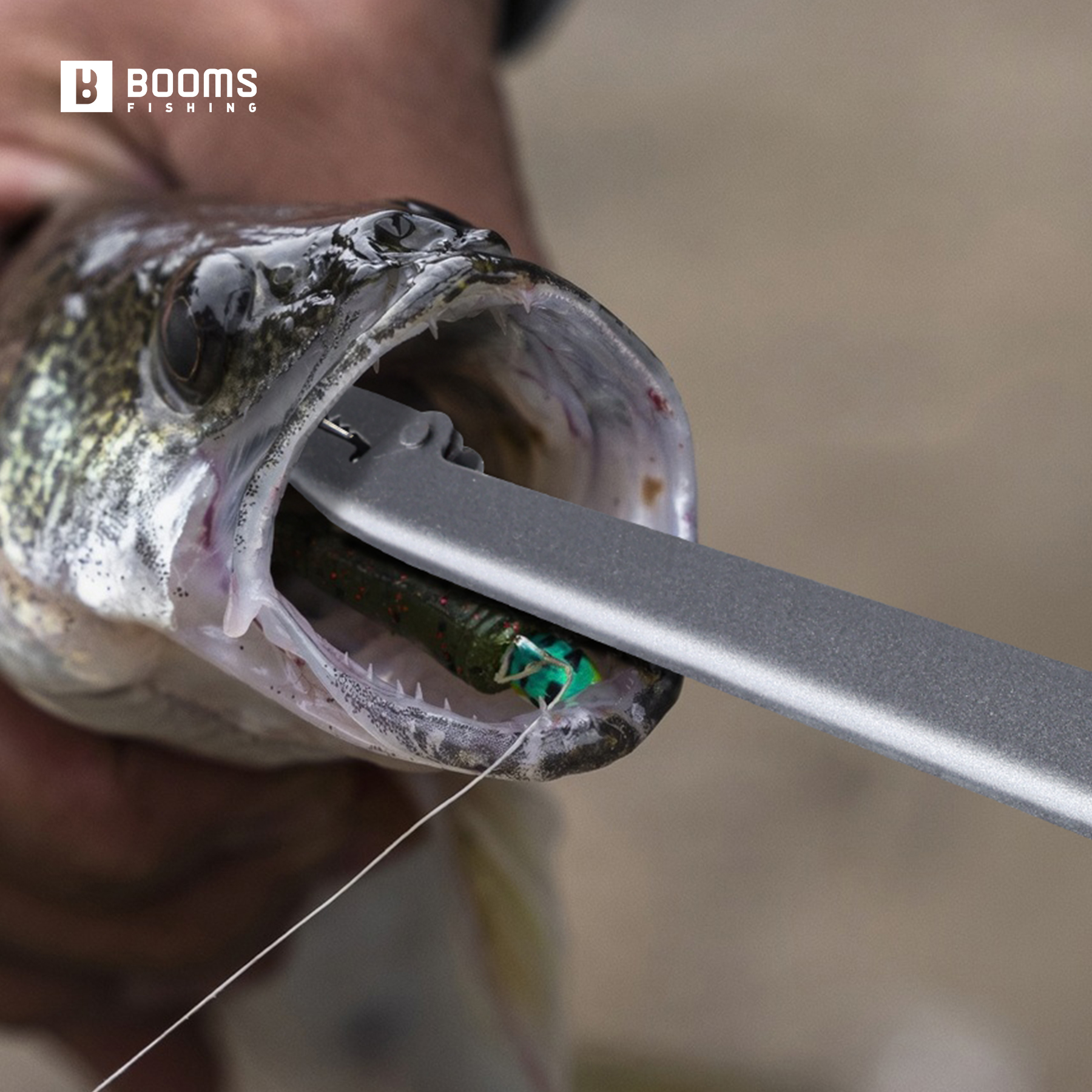 Booms Fishing 25cm Carbon Stee – обзор и цена Fishing Equipment Pictures